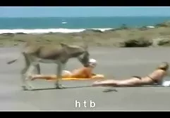 مثليات سكس عربي سكس سعودي com